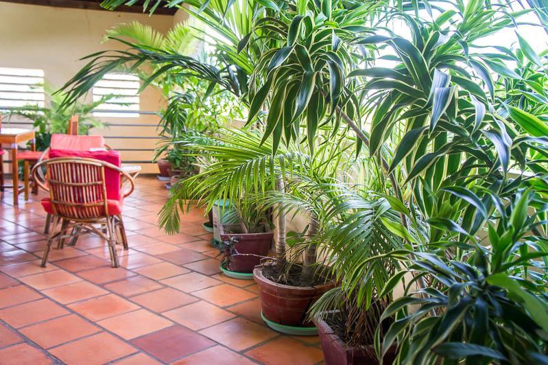 Visal Sak Guesthouse Kep Eksteriør bilde
